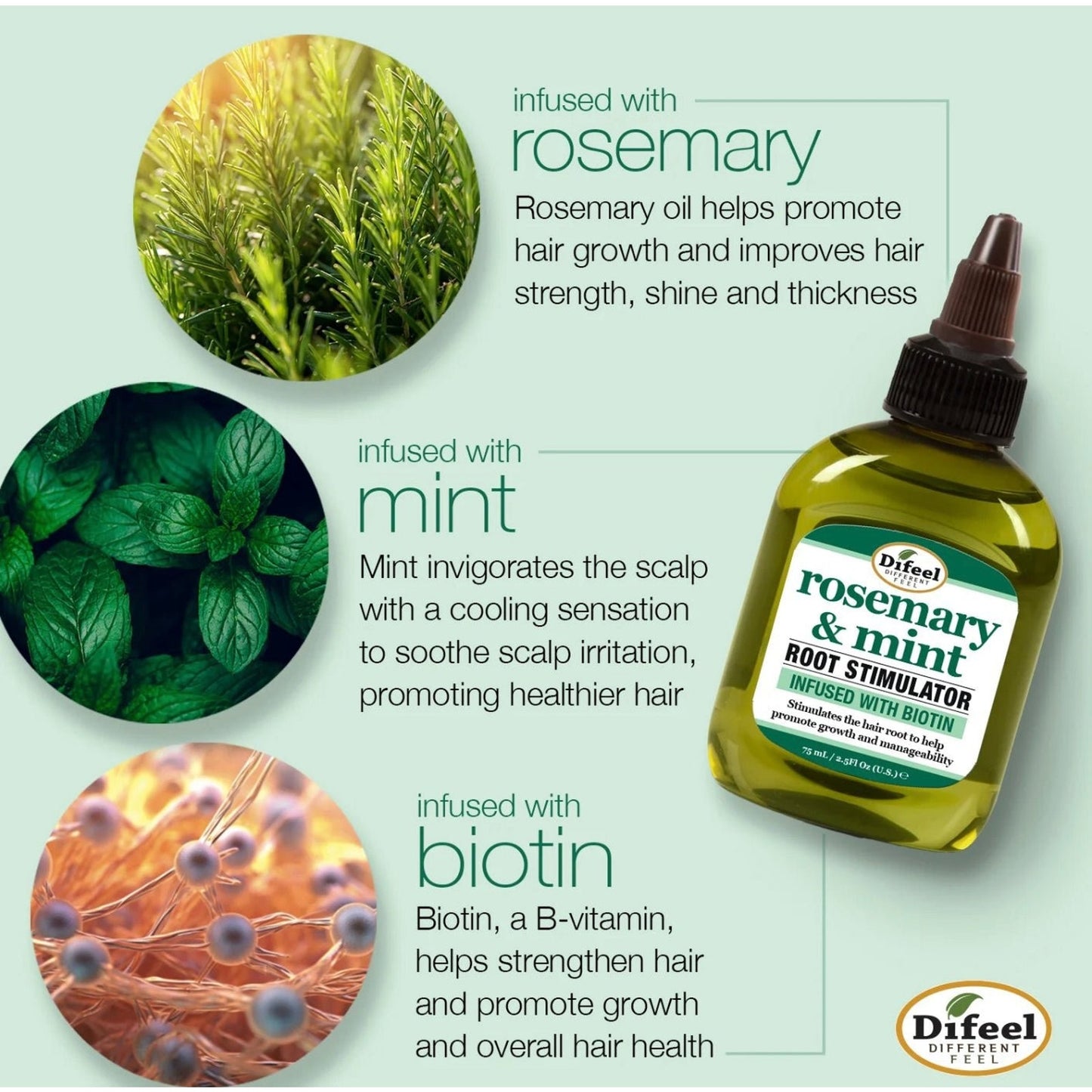 Green plastic bottle of rosemary and mint root stimulator with pointed dark brown cap, displayed alongside close-up images of rosemary, mint leaves, and biotin molecules with text describing their hair growth and scalp benefits.