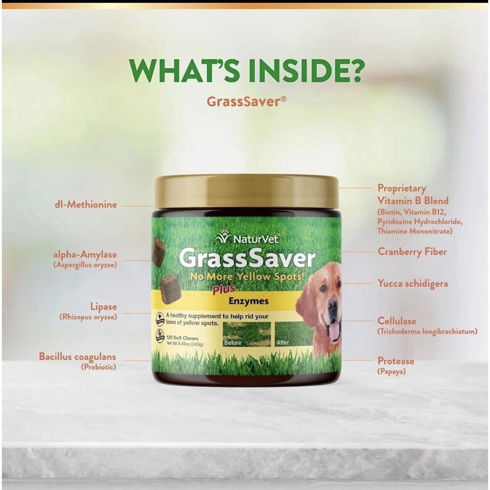 Jar of NaturVet GrassSaver plus enzymes pet supplement with green and brown label featuring a golden retriever, surrounded by text listing ingredients like dl-Methionine, alpha-Amylase, and cranberry fiber.
