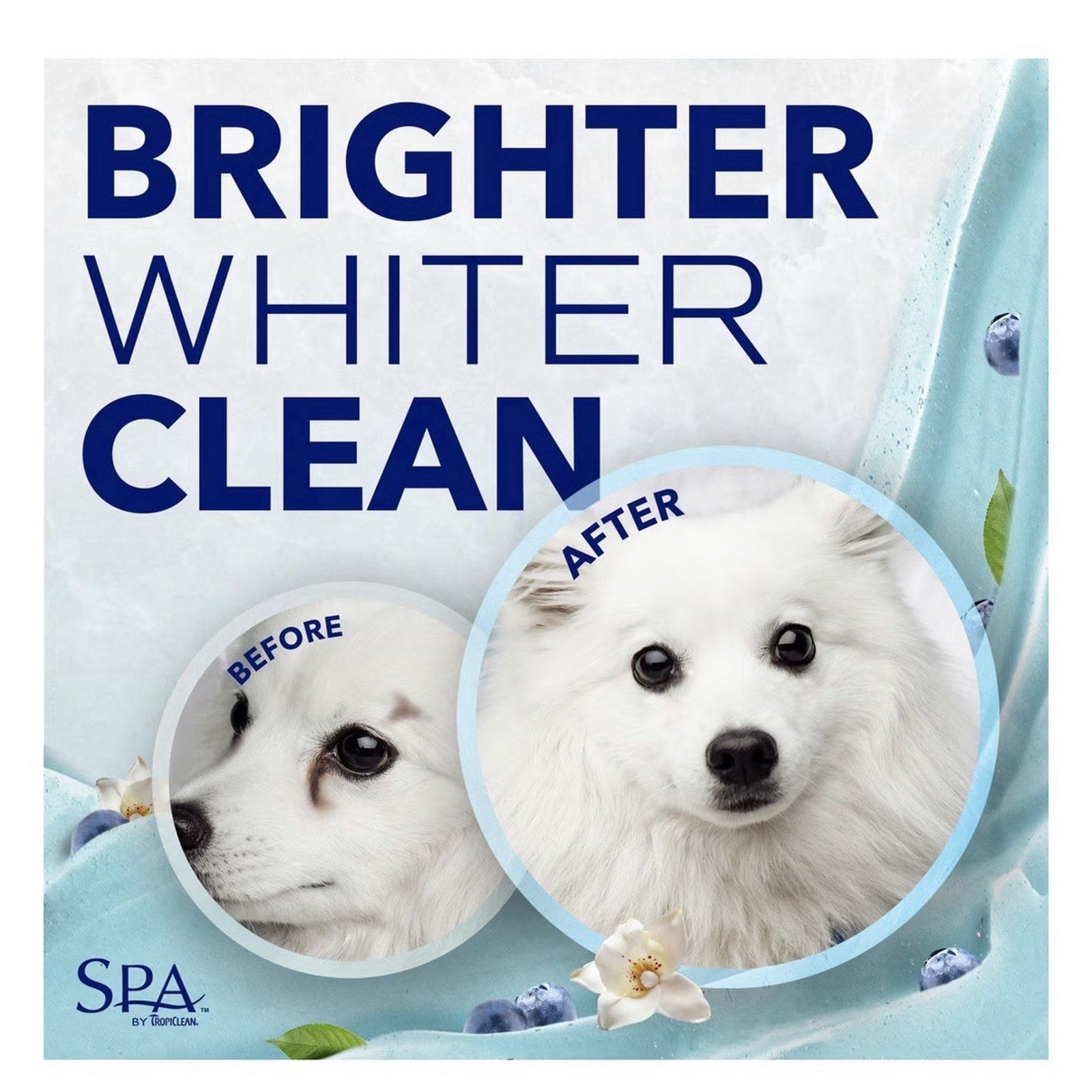 Comparison image showing a white dog before and after grooming, highlighting a visibly brighter and cleaner coat against a light blue and white background with floral accents.