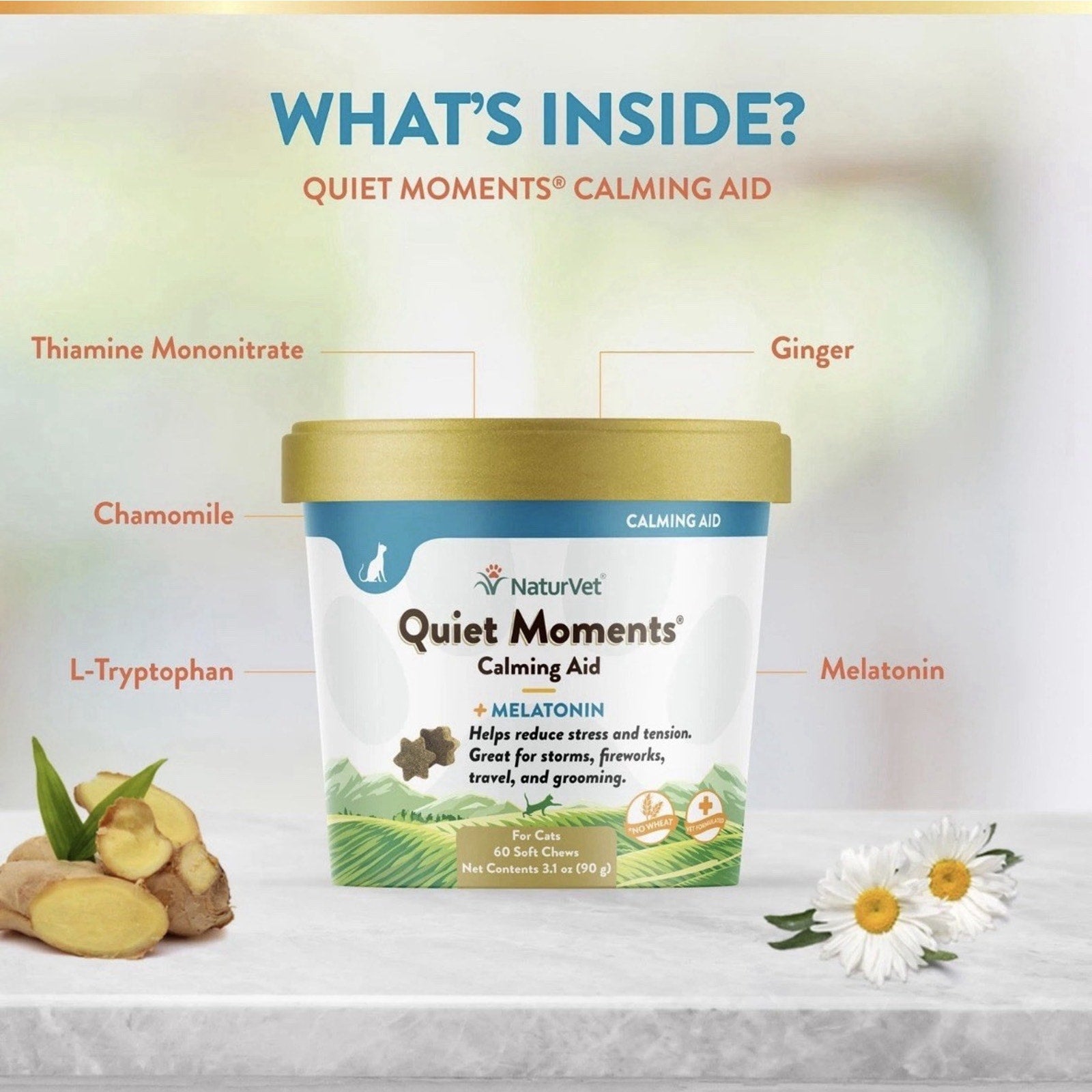 Container of NaturVet Quiet Moments Calming Aid for cats with gold lid, surrounded by labeled ingredients including thiamine mononitrate, ginger, chamomile, L-tryptophan, and melatonin.