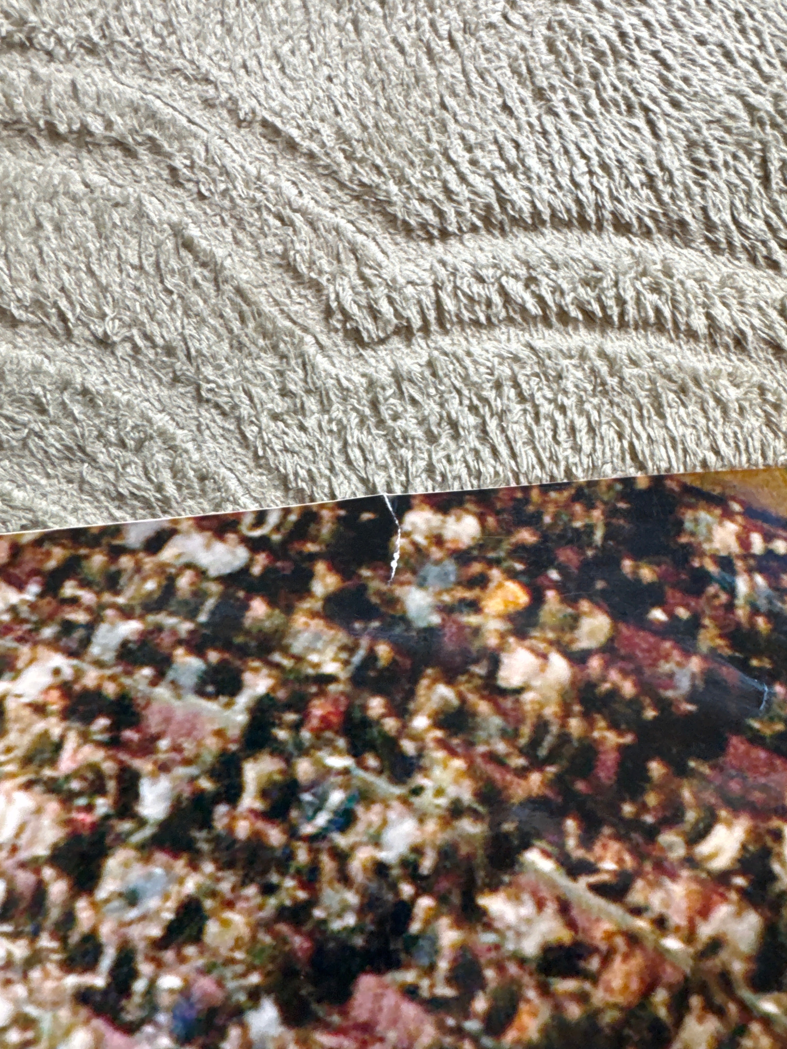 Rangers 20x24 Photo Team-Signed by (26) with Jaromir Jagr, Glen Anderson, Mark Messier, Henrik Lundqvist, & Mike Richter (Steiner)