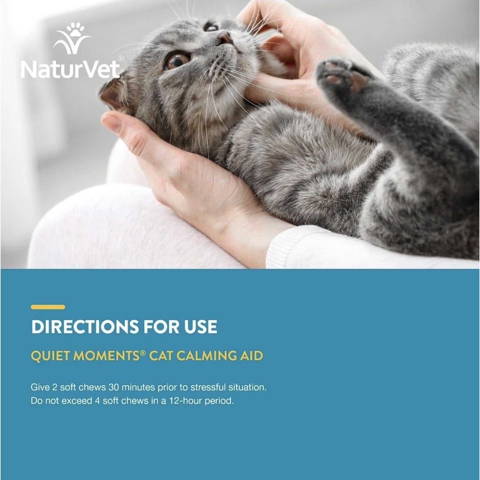 Close-up of a gray tabby cat being gently held and petted by a person, with overlaid text instructions for using a calming aid soft chew for cats, displayed on a blue background.