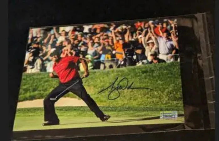 Tiger Woods autographed 8x10 photo with coa