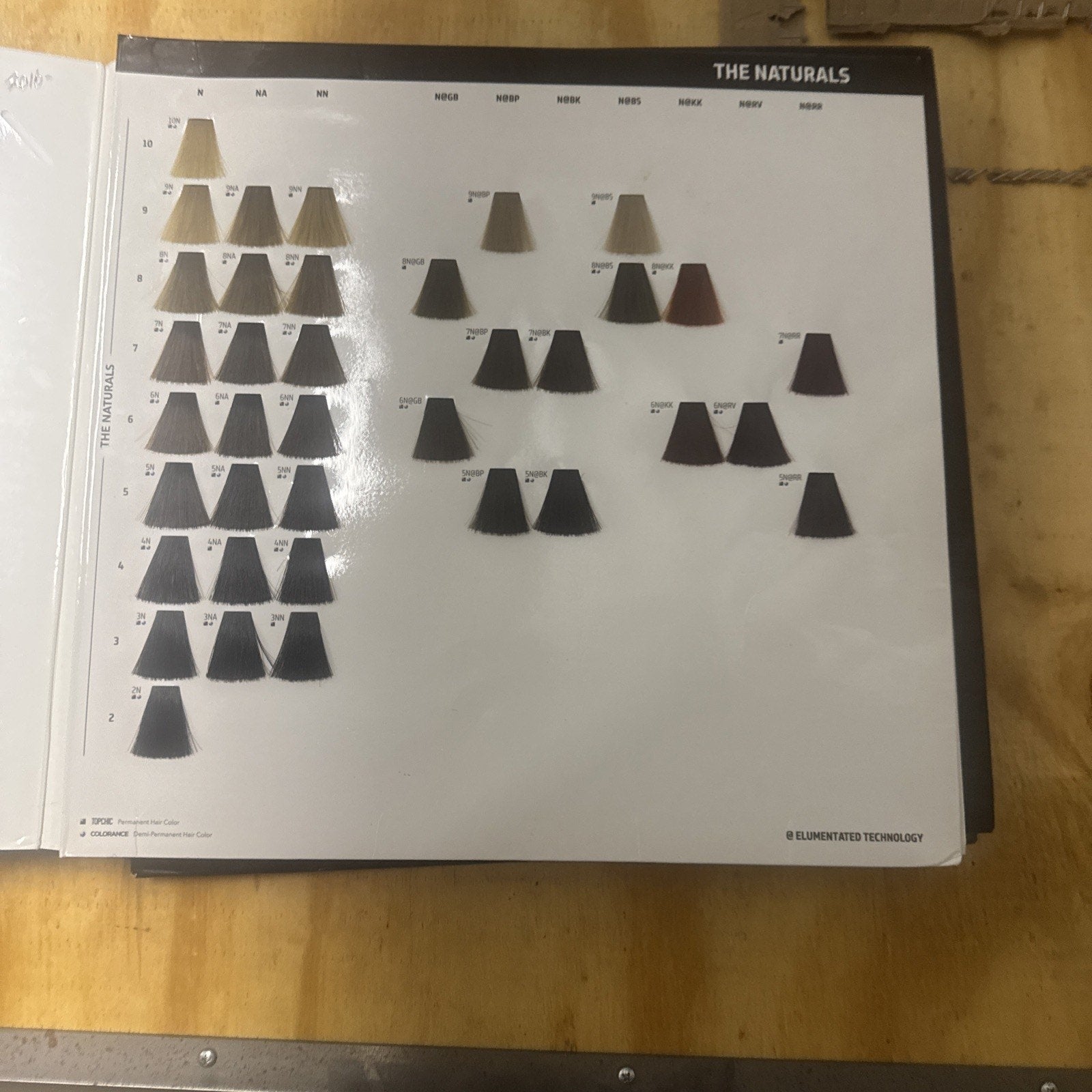 Open page of Goldwell Color Catalog showing natural hair color swatches in shades from blonde to dark brown and black