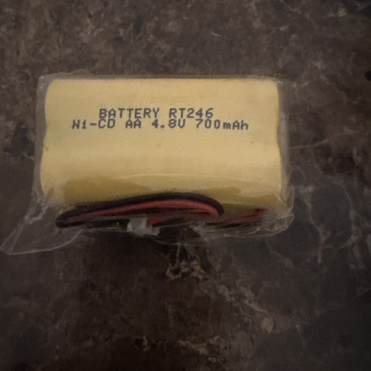 4.8V 700mAH Ni-Cd AA rechargeable battery with SM 2P plug for rock off-road applications in plastic packaging