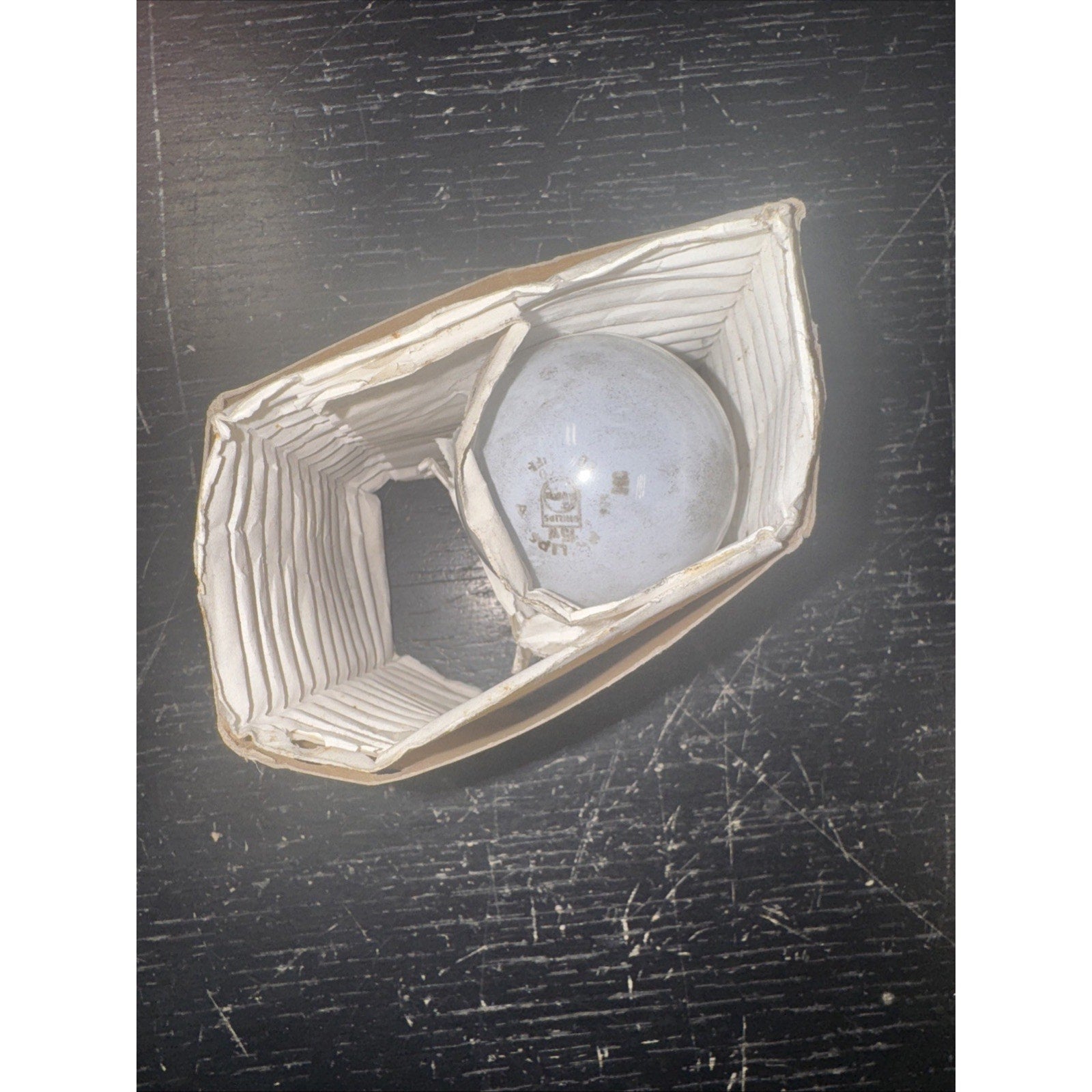 Philips 15W long duration light bulb inside protective white accordion-style cardboard packaging on dark surface