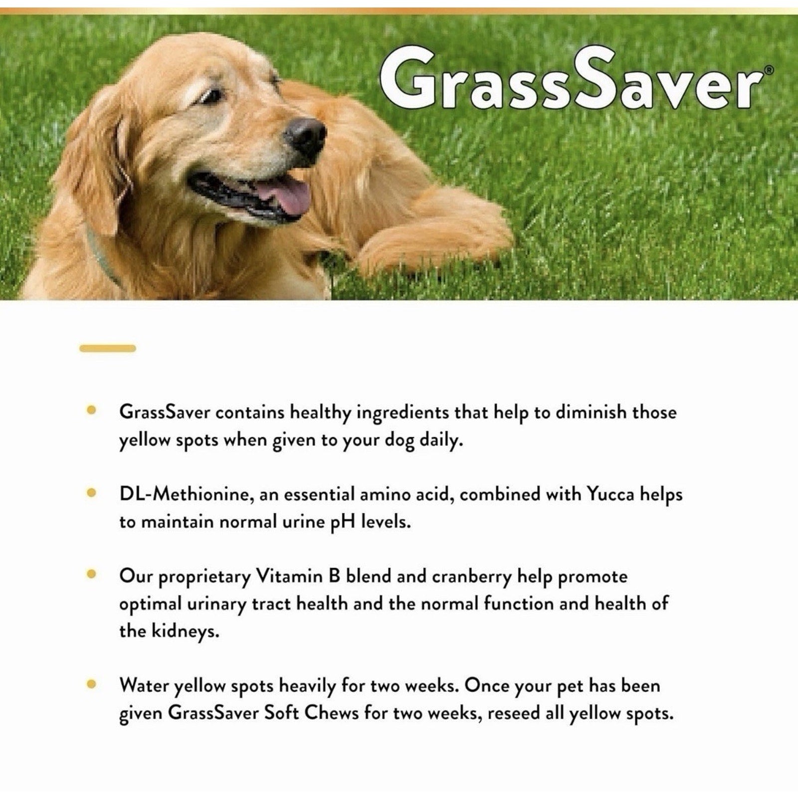 Golden retriever lying on vibrant green grass next to the GrassSaver logo, above a list describing ingredients and benefits for reducing yellow spots on lawns caused by dogs.