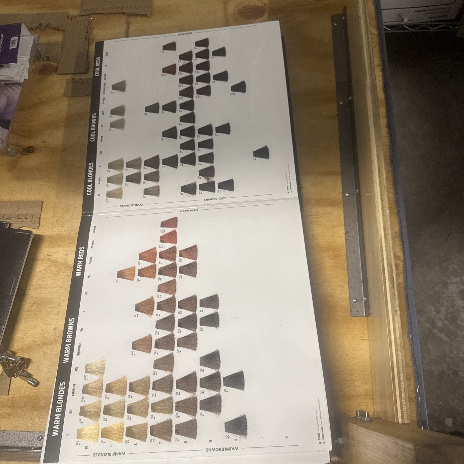 Goldwell Color Catalog open showing warm blonde, warm brown, and cool blonde hair color swatches on white pages