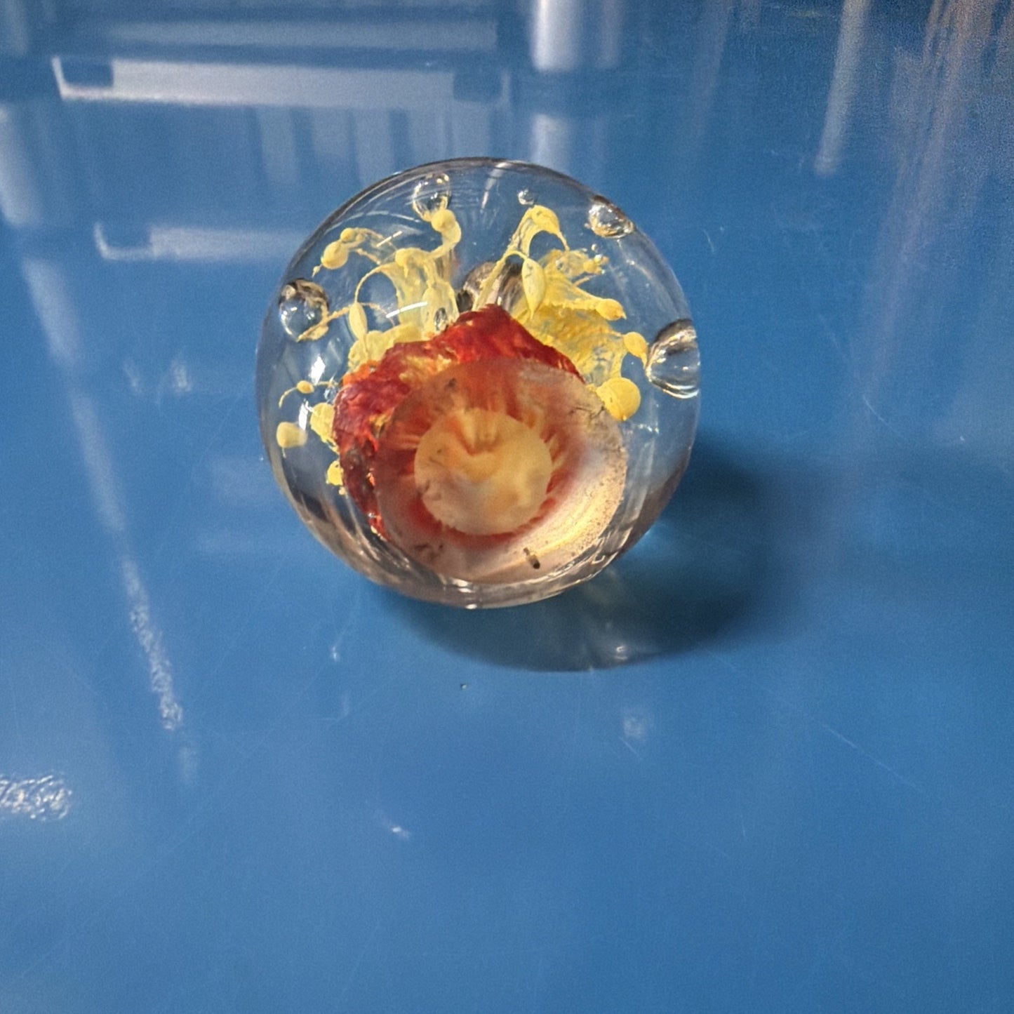 Clear spherical glass paperweight with a red and white flower-like design and yellow wisps inside, surrounded by small air bubbles, set on a reflective blue surface.