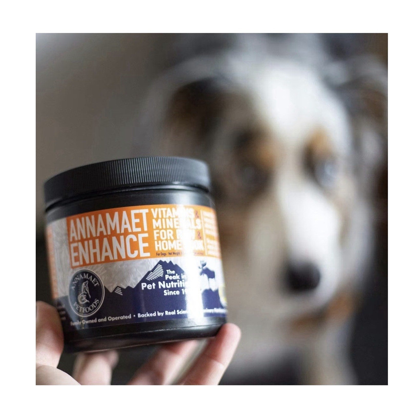 Annamaet Enhance Vitamin and Mineral Supplement for Dogs 8.5 oz jar Home Cook