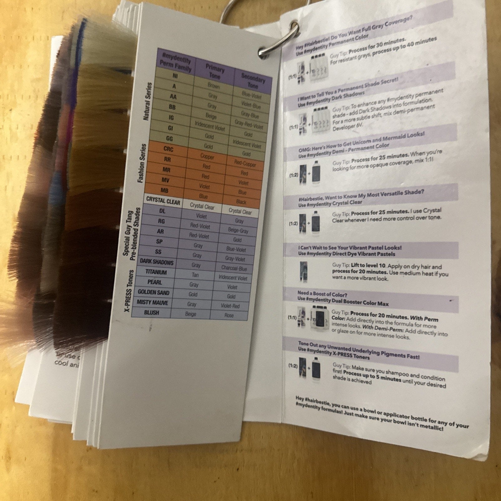 Guy Tang mydentity Color Catalog open to various hair color swatches and detailed dye instructions pages