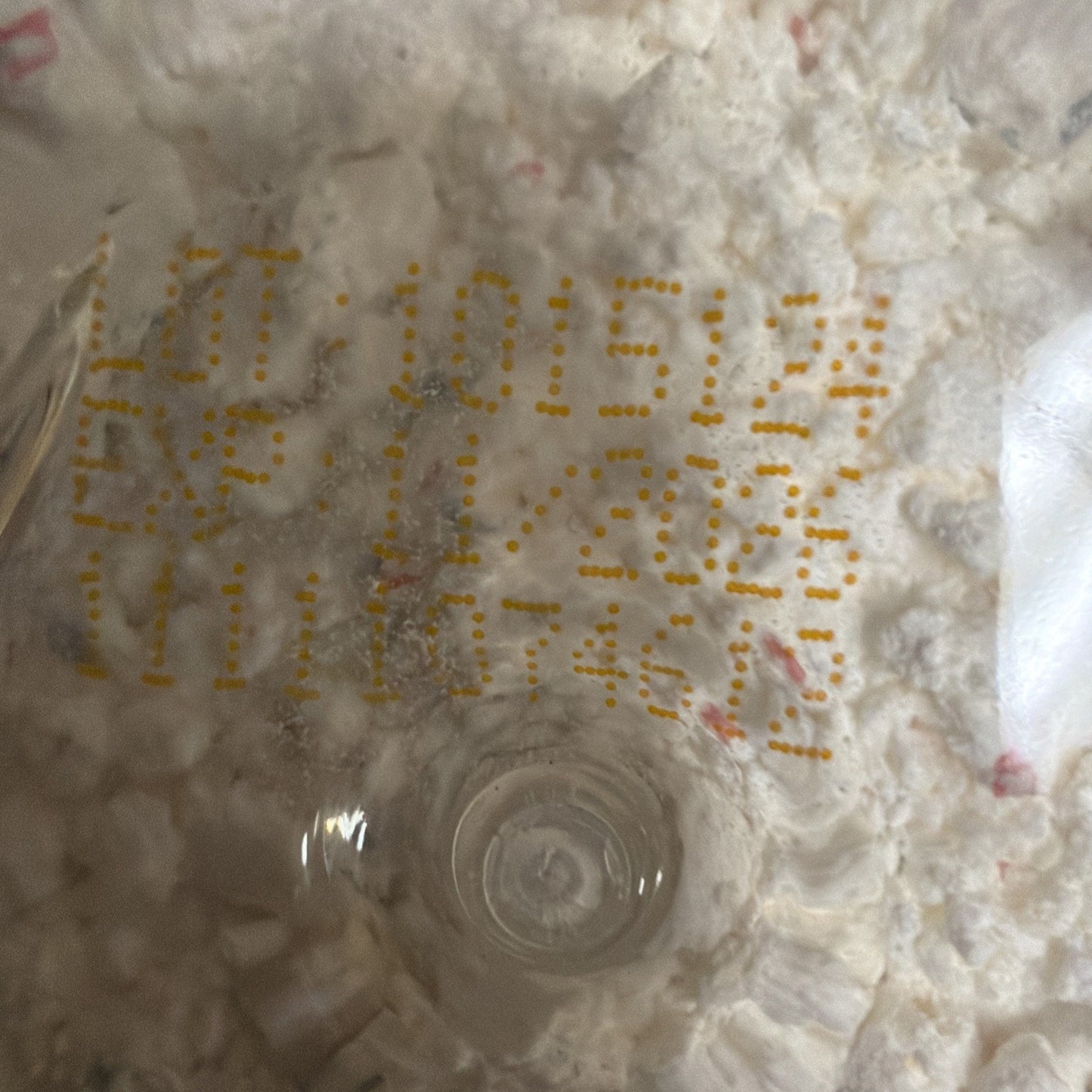 Close-up of yellow printed lot number 1015104 and expiration date 11/2025 on a rough white textured surface with a small clear circular indentation.