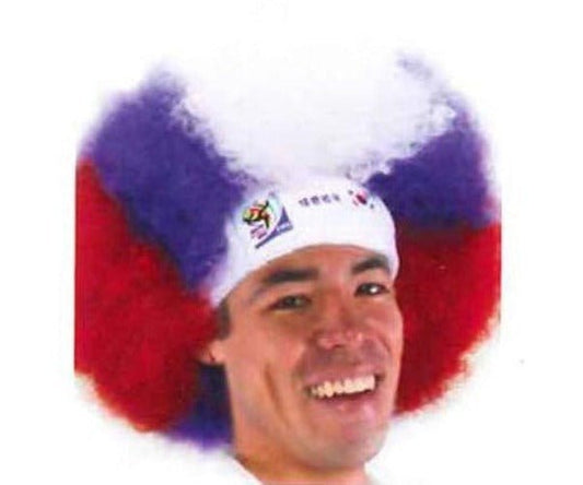 Official FIFA Soccer Afro Wig 25-Count Case Pack – South Korea – Vintage/Collectible (2010 Collection)
