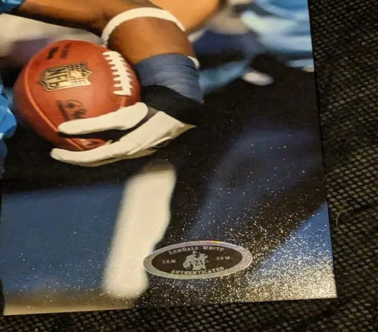 Lendale White Tennessee Titans  autographed 8x10 photo with coa sticker - Price Is Right Miami