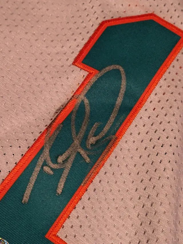 Tua Tagovailoa Miami Dolphins autographed jersey with COA (view 2)