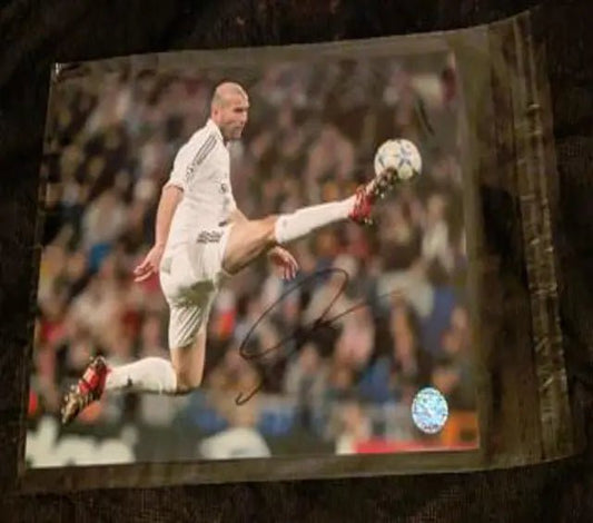 Zinedine Zidane Signed 8x10 Photograph with coa 124639 - Price Is Right Miami