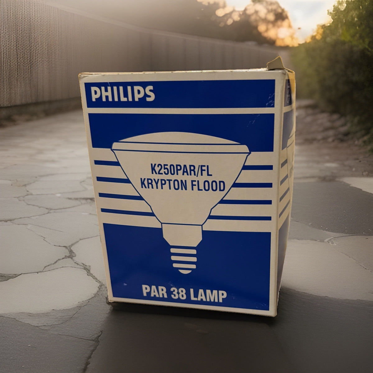Philips K250PAR/FL Krypton 250W PAR38 Flood Lamp 120-130V 374327
